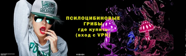 прущий лед Белокуриха