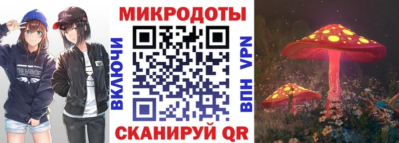 купить   Гай  Галлюциногенные грибы GOLDEN TEACHER 