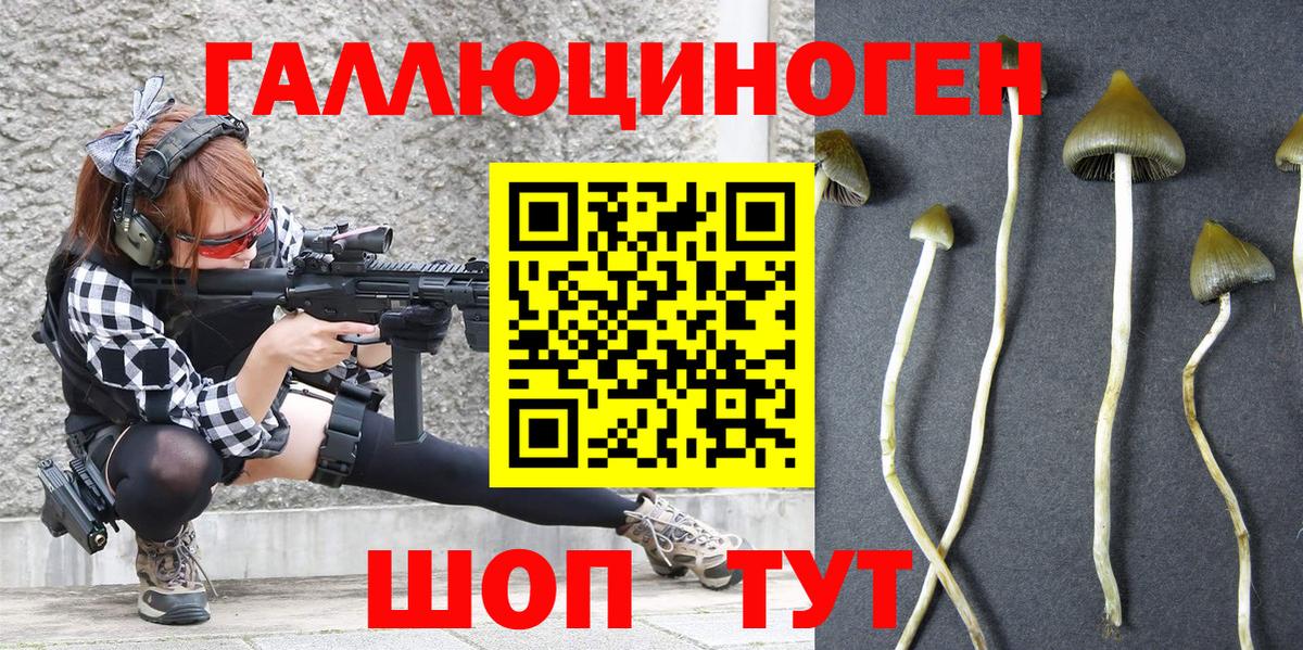 Галлюциногенные грибы MAGIC MUSHROOMS  Вход с VPN  Галлюциногенные грибы GOLDEN TEACHER  Гай 