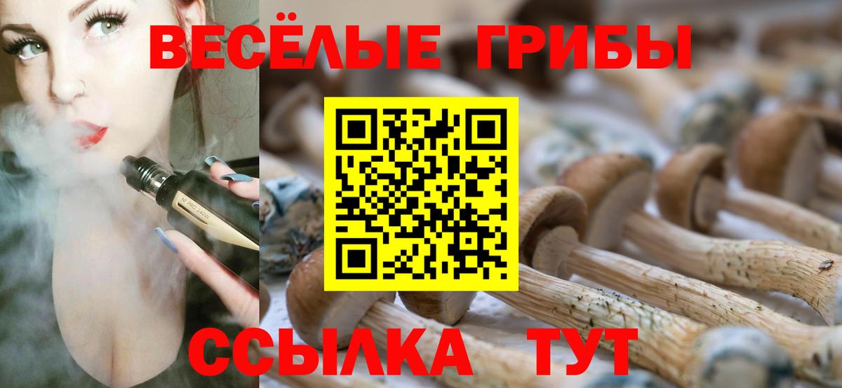 Псилоцибиновые грибы Psilocybe Гай